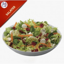 Grøn Salat med salatost, tomat, agurk og rødløg 